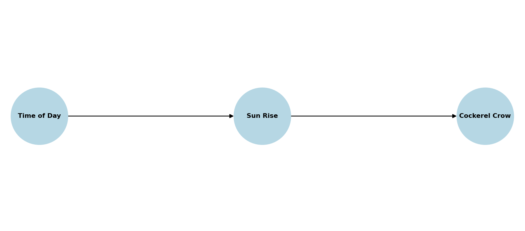 Causal Graph Example
